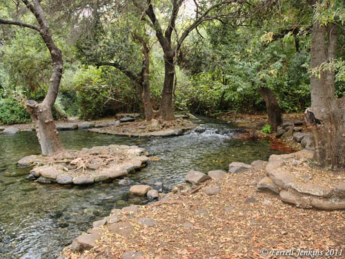 A spring in the Tel Dan Nature Reserve. Photo by Ferrell Jenkins.