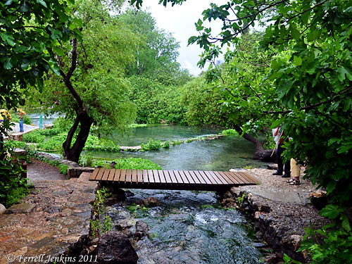 River Banias, a source of the Jordan, from the North. Photo by Ferrell Jenkins.