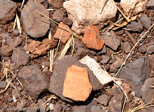 Pottery shards at En-Dor Pottery shards at En-Dor. Photo by Ferrell Jenkins.