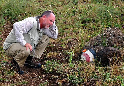 Larry tries to figure out the traill markings. Photo by Ferrell Jenkins.