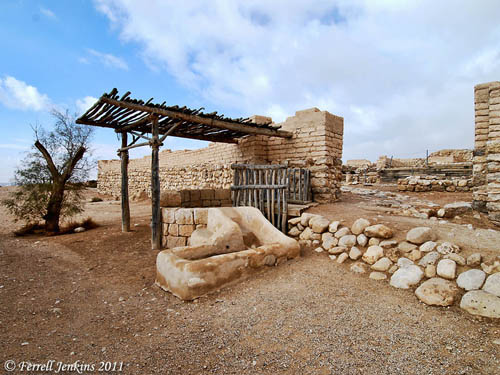 The outer gate, well, and tamarisk tree at Tel Beersheba. Photo by Ferrell Jenkins.
