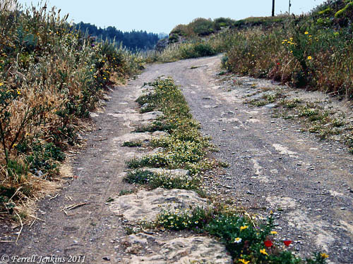 Diolkos Sector G. Photo by Ferrell Jenkins in 1970s..