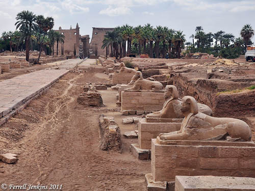 Avenue of Sphinxes with a view view the Luxor Temple. Photo by Ferrell Jenkins.