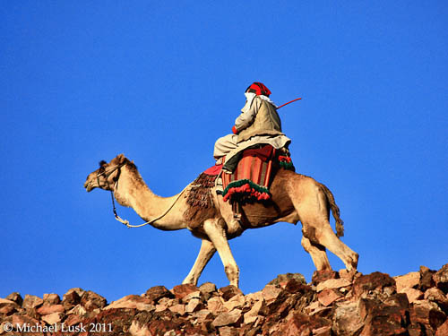 A camel waiting to take a tired walker back to the monastery. Photo by Michael Lusk.