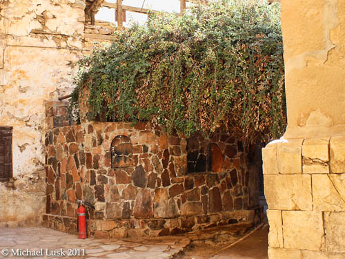 The "burning bush" in Saint Catherine's Monastery. Photo by Michael Lusk.