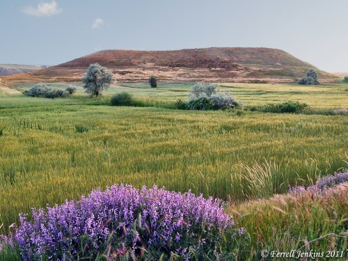 The mound of Lystra, 18 miles south of modern Konya. Photo by Ferrell Jenkins.