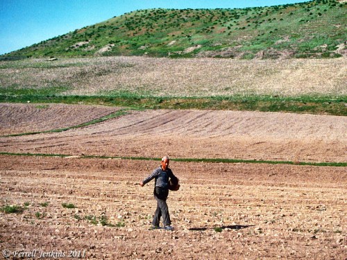 Sower at Lystra. Photo by Ferrell Jenkins.