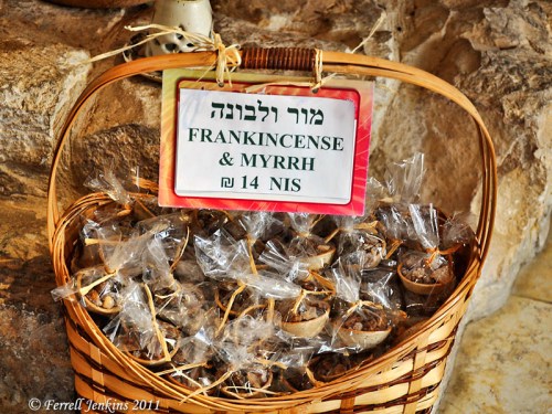 Frankincense and myrrh on the Incense Route at Avdat. Photo by Ferrell Jenkins.