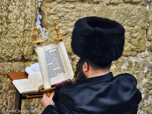 Reading the Bible at the Western Wall. Photo by Ferrell Jenkins.
