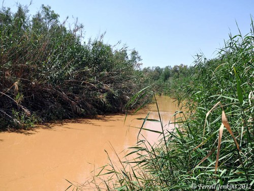 Jordan River (view south) at traditional site where John baptized. Photo: Ferrell Jenkins.