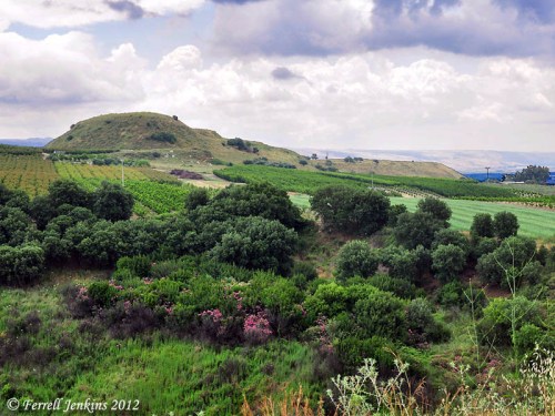 Abel Beth Maacah. View to the east. Photo by Ferrell Jenkins.