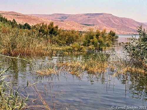 A secluded place on the NE corner of Sea of Galilee. Photo by Ferrell Jenkins.