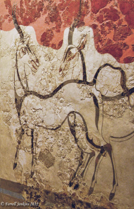 Akrotiri_antelopes-fresco_fjenkins_ANM_136t The Antelopes fresco from Akrotiri. Athens National Museum. Photo by Ferrell Jenkins.