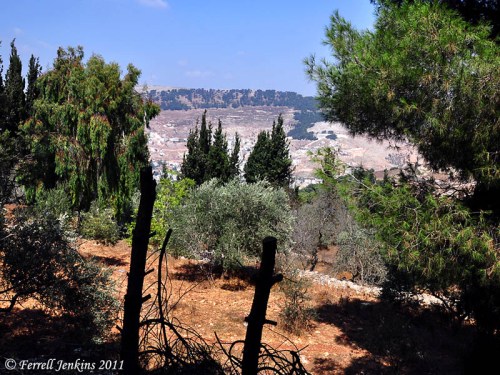 View of Mount Ebal from a window of the Samaritan Museum on Mount Gerizim. Photo by Ferrell Jenkins.