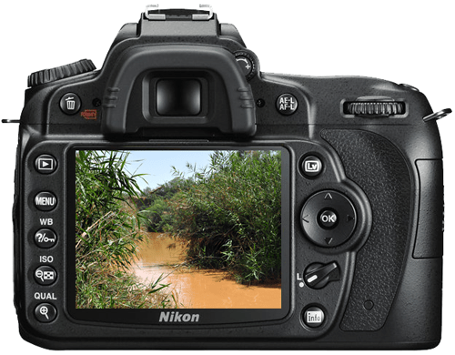 The River Jordan at the Israel-Jordan border north of the Dead Sea. Photo by Ferrell Jenkins.