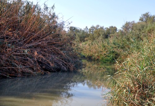 The Jordan River at the site of the baptism of Jesus. View south. Photo by Ferrell Jenkins.