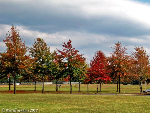 Fall Leaves in North Alabama. Photo by Ferrell Jenkins.