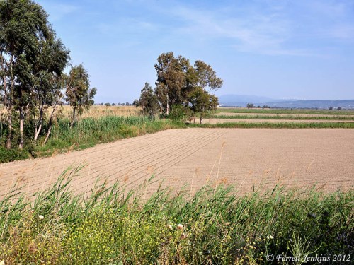 Site of Lake Latmos, now silted up, within two miles of Miletus. Photo by Ferrell Jenkins.