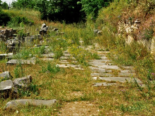 A portion of the Via Egnatia in the Forum at Philippi. Photo by Ferrell Jenkins.