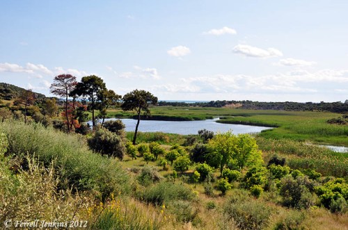 Silted up harbor at Patara. The Mediterranean Sea is visible on the horizon. Photo by Ferrell Jenkins.