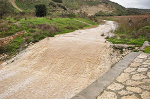 Brook of Elah after 3 days of rain. Photo: Carl Rasmussen.