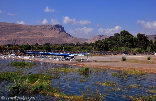 The Sea of Galilee at Nof Ginosar, September, 2012. Photo by Ferrell Jenkins.