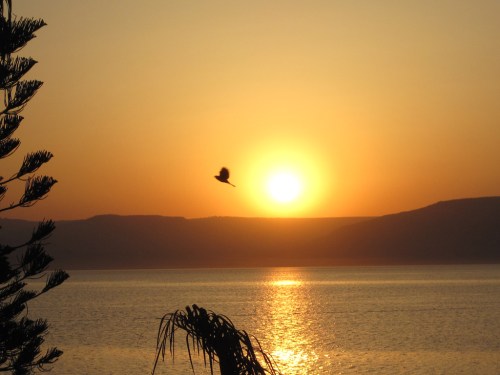 Sunrise on the Sea of Galilee. Photo by Ferrell Jenkins.