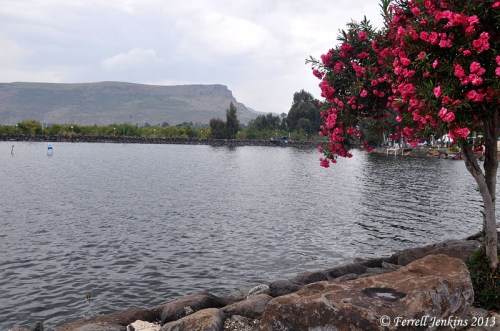 Sea of Galilee at Nof Ginosaur, April 18, 2913. Photo by Ferrell Jenkins