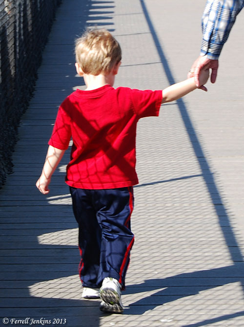 Child holding hand of adult.