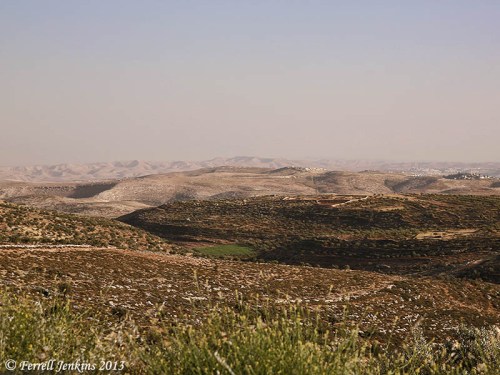 Wilderness to the east of Taybeh. Photo by Dan Kingsley.