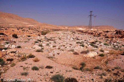 Wadi Zin near Avedat in the Negev of Israel. Photo by Ferrell Jenkins.