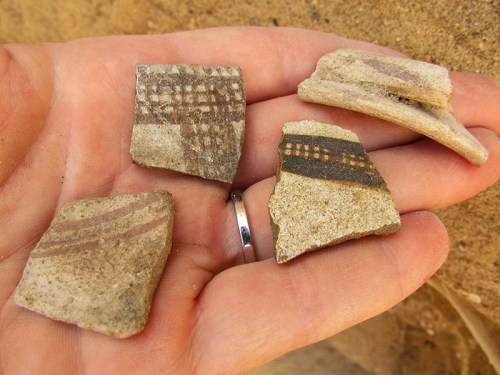 Examples of Philistine Pottery Sherds (Left to Right): Philistine Monochrome, Cypriot Milk Jar, another Cypriot Milk Jar, Monochrome Bell Jar Rim and Handle. Photo: Trent and Tebekah