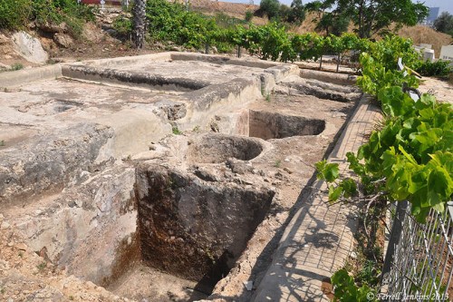 Roman winepresses at Eretz Israel Museum, Tel Aviv. Photo by Ferrell Jenkins.