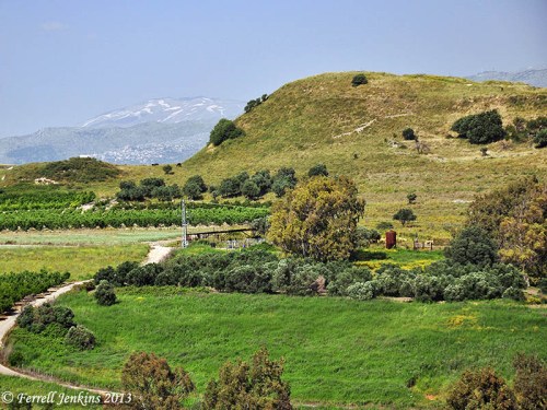 North end of Tell Abel-Beth-Maacah with Mount Hermon to the east. Photo by Ferrell Jenkins.
