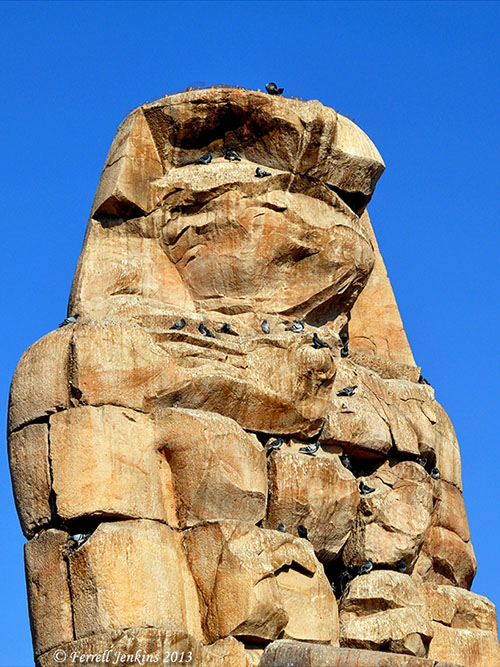 Statue of Amenhotet III (or Amenophis III) on West Bank of Nile at Thebes (Luxor). Photo by Ferrell Jenkins.