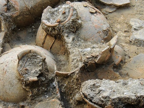 Wine jars at Tel Kabri. Credit: Prof. Eric H. Cline & Tel Kabri Excavation.