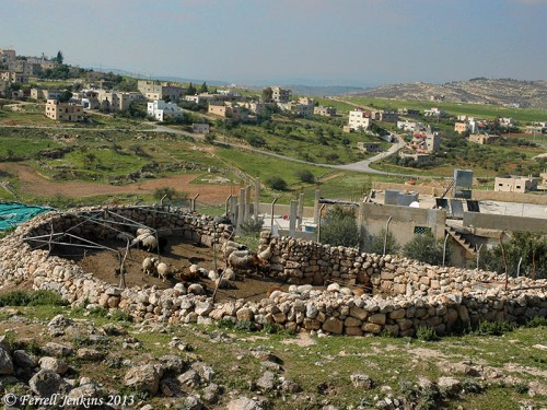 Sheepfold on the slope of Tell Ḥesbân. View of territory of Moab. Photo by Ferrell Jenkins.