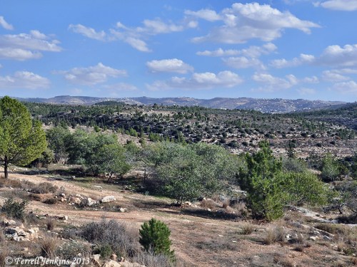 Judean Hills. View east to central mountain range from Hwy. 375. Photo by Ferrell Jenkins.