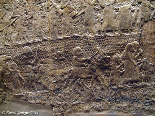 Sennacherib's Relief in British Museum. Photo by Ferrell Jenkins.