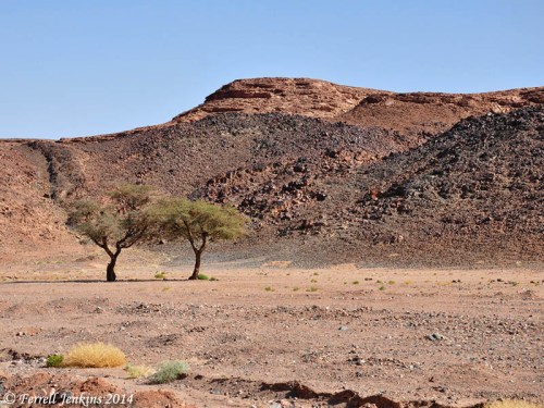A scene in the eastern Sinai wilderness. Photo by Ferrell Jenkins.