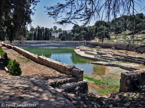The middle pool. View west. Photo by Ferrell Jenkins.