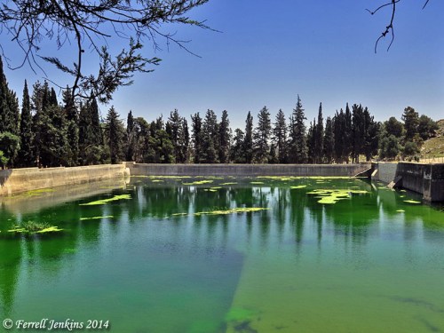 The western most pool. View east. Photo by Ferrell Jenkins.