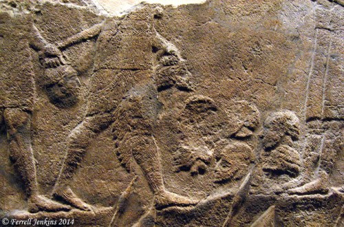 Heads of Judeans being collected to get a count. Photo by Ferrell Jenkins.