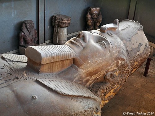 Fallen colossal statue of Ramses II at Memphis. Photo by Ferrell Jenkins.