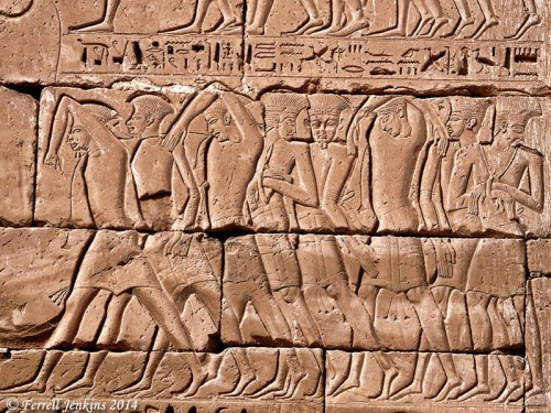 This is a portion of a wall at Medinet Habu showing the subjugation of the Sea People by Ramses III. Photo by Ferrell Jenkins.