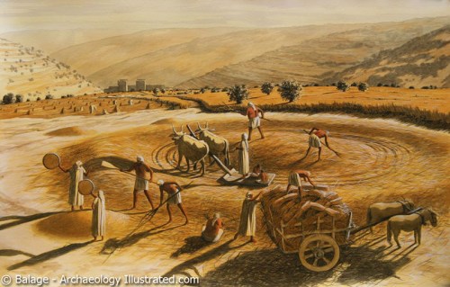 Araunah's threshing floor. Art by Balage, Archaeology Illustrated.