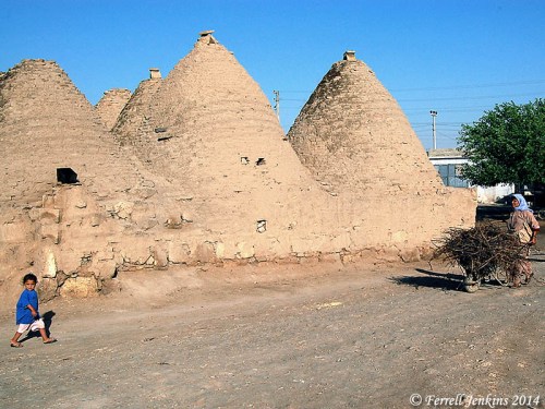Woman carrying dry boughs at Haran. Photo by Ferrell Jenkins.