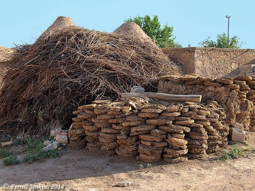 Dry boughs gathered for fire at Haran. Photo by Ferrell Jenkins.