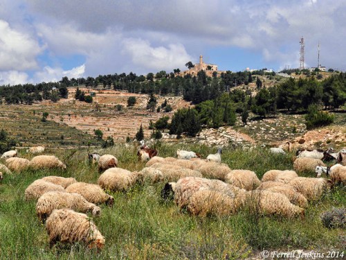 Nebi Samwil from the south. Photo by Ferrell Jenkins.
