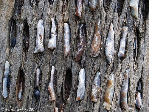 A threshing sledge with most of the cutting stones gone. Photo by Ferrell Jenkins.